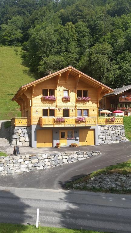 Tivoli Chalet Leysin Exterior photo